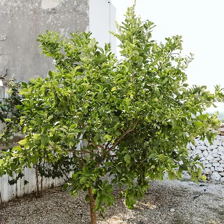 Magdala Casa de Férias